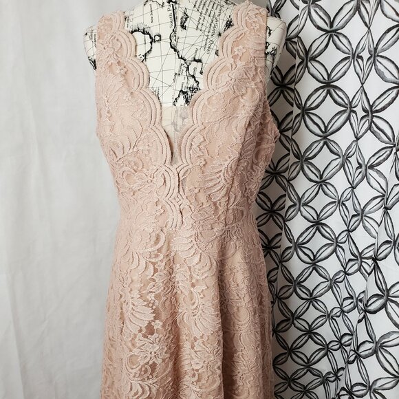 City Triangles Dresses & Skirts - City Triangles Sleeveless Rose Lined Dress - Size 15